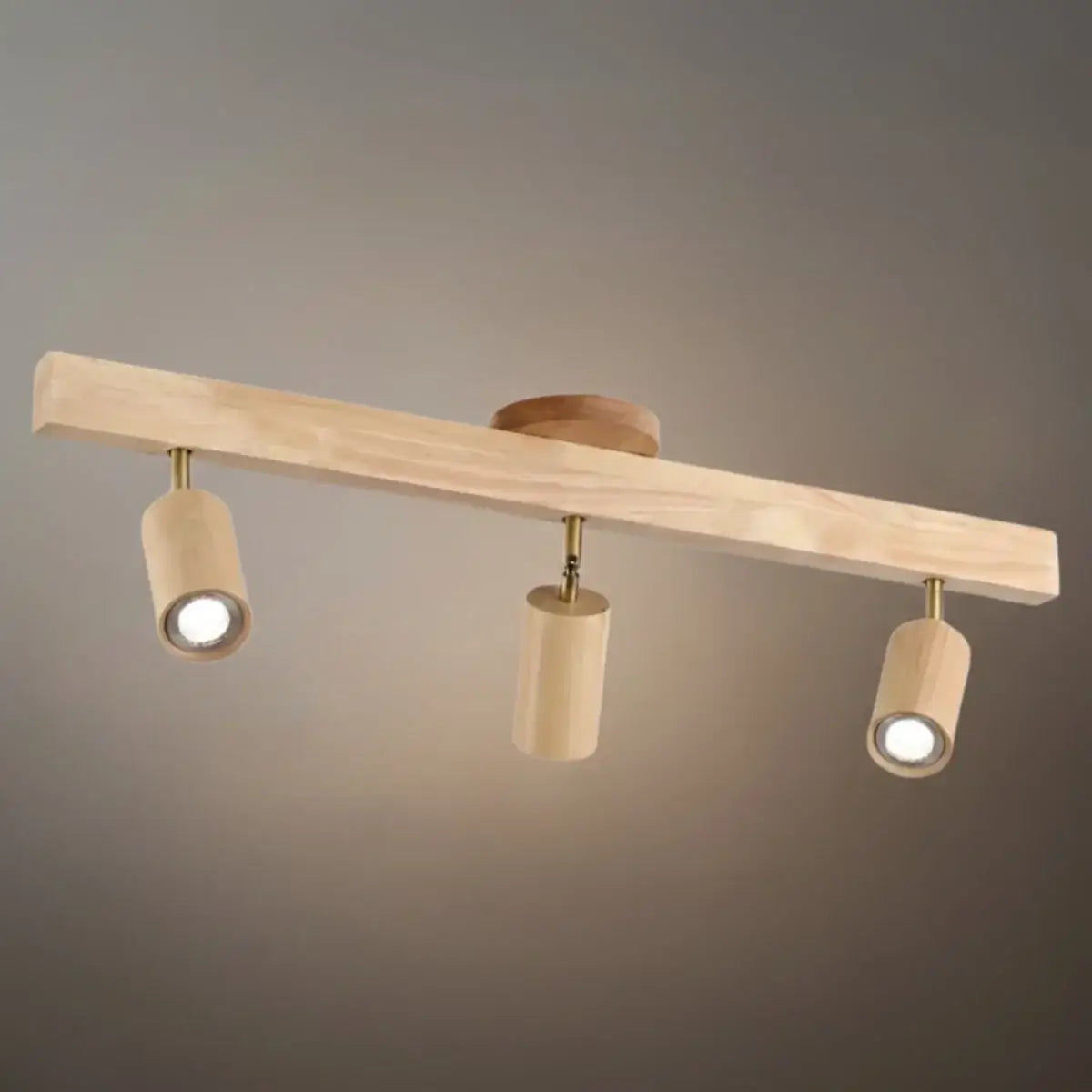 Modern Track Light